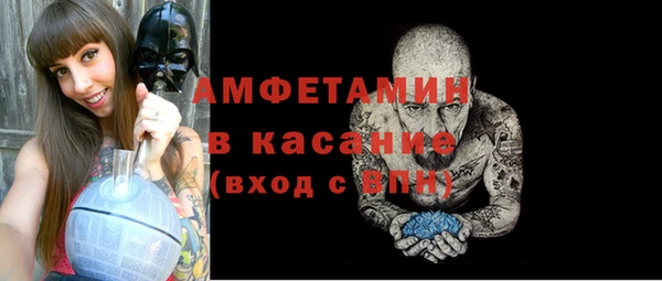 гашик Алексин