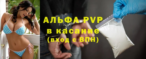 мяу мяу мука Аркадак