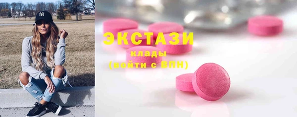 гашик Алексин