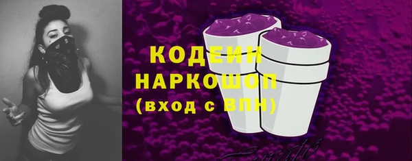 прущие грибы Переславль-Залесский