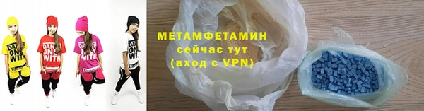 прущие грибы Переславль-Залесский