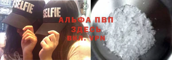 гашик Алексин