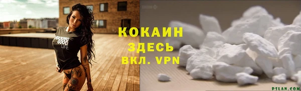 мяу мяу мука Аркадак