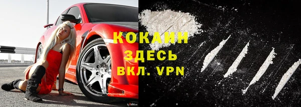 твердый Пестово