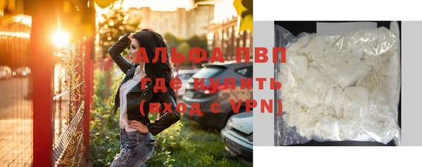 прущие грибы Переславль-Залесский